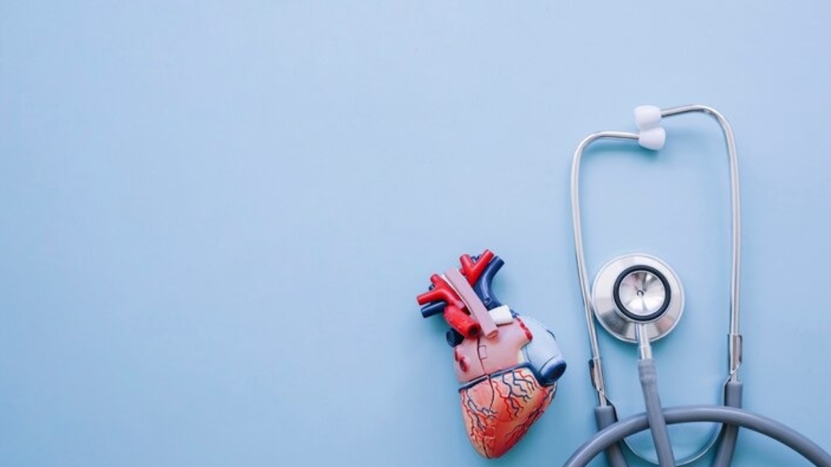 Ciência aponta que envelhecimento cardiovascular começa