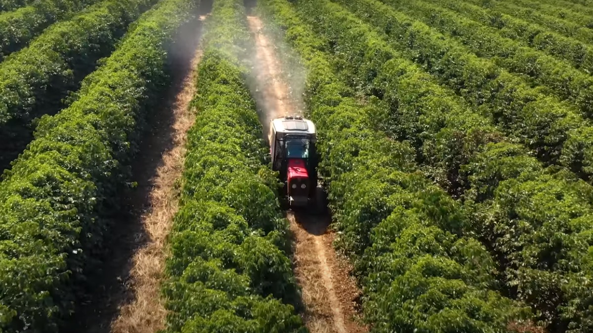 engenheiros e agrônomos