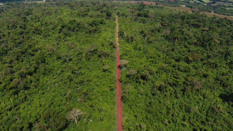 Trilha da Estação Ecológica de Ribeirão