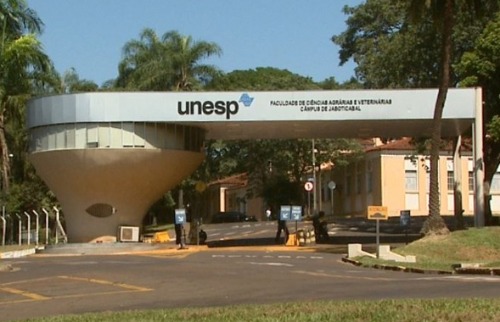 Vestibular Unesp 2024