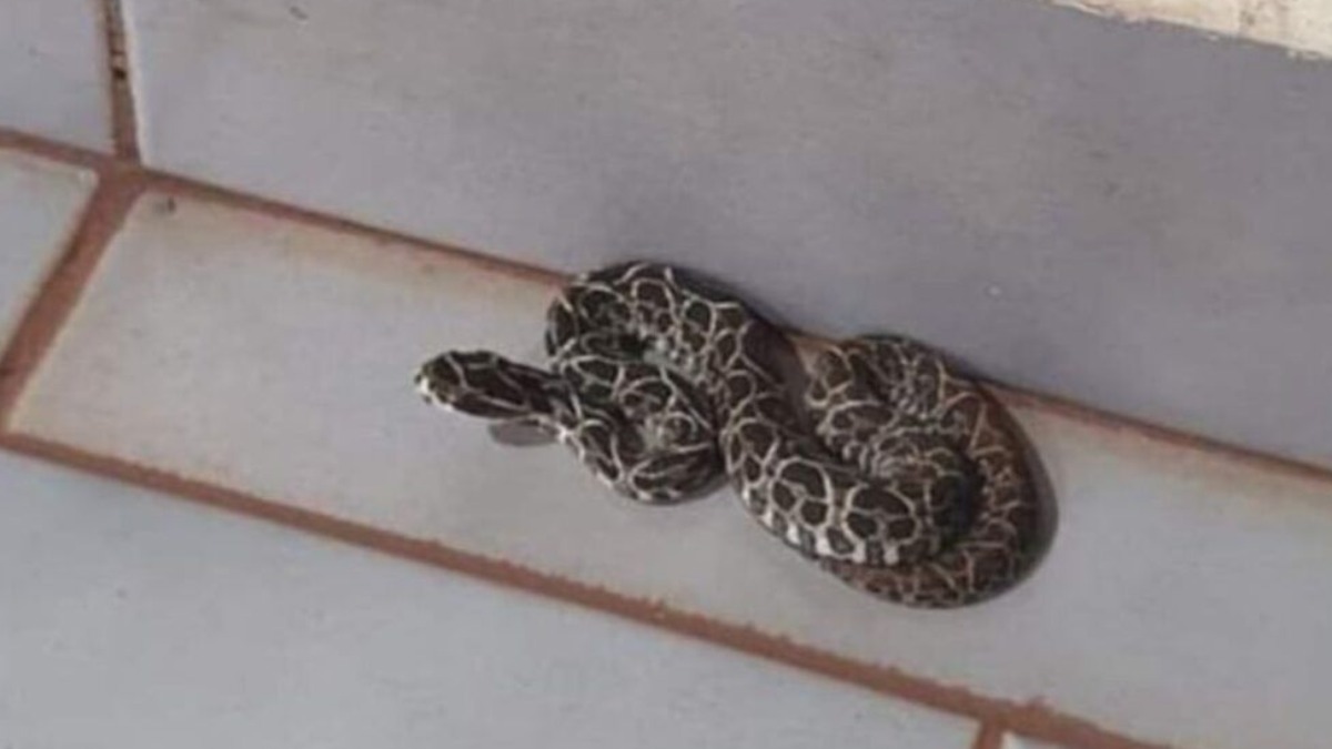 Aulas são suspensas em Miguelópolis após