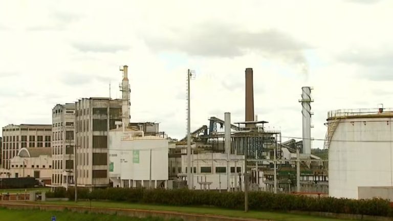 Usina de Sertãozinho é condenada a