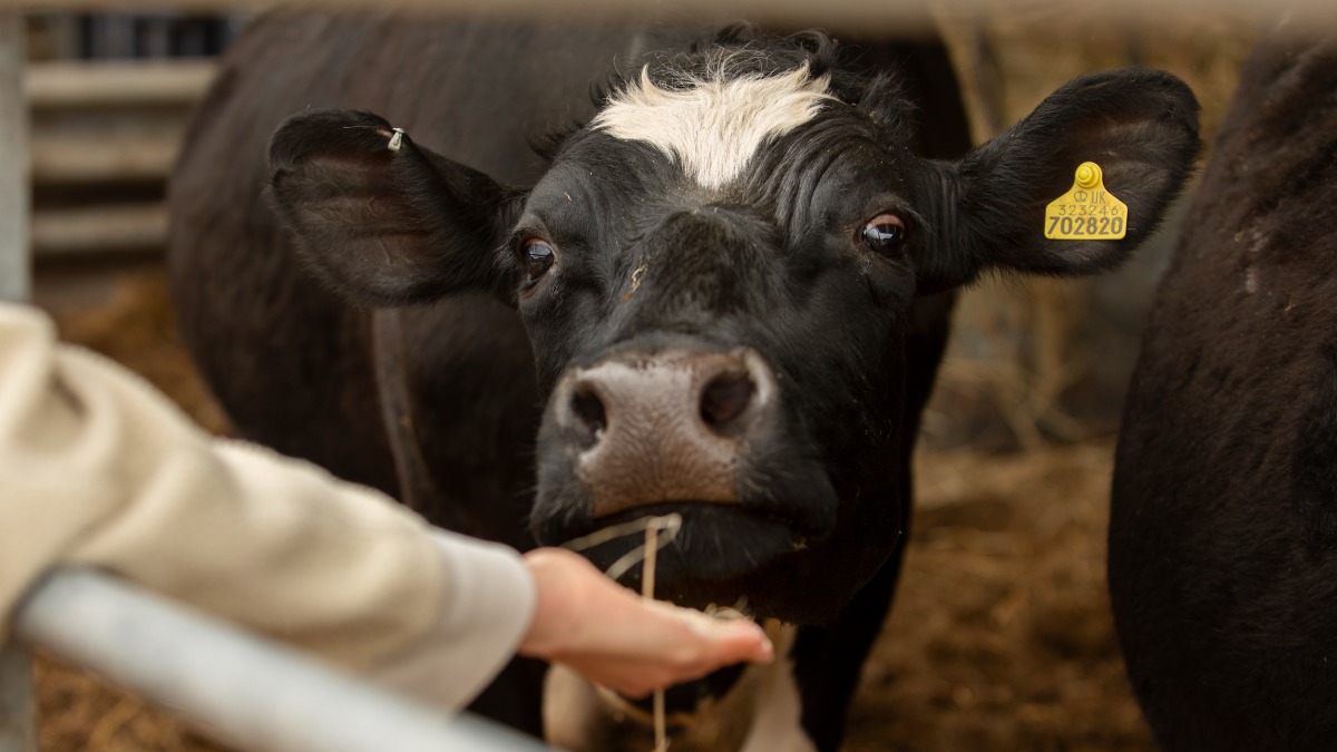 Governo do Estado desobriga marcação a