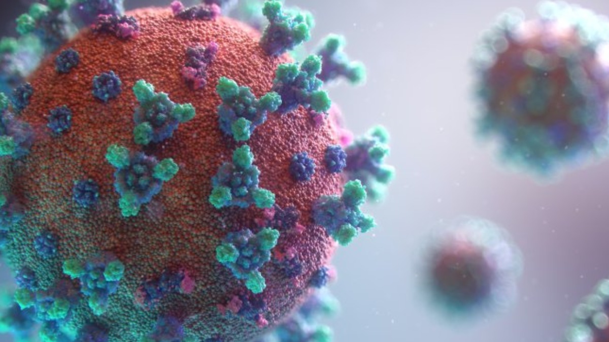 nova variante Covid-19