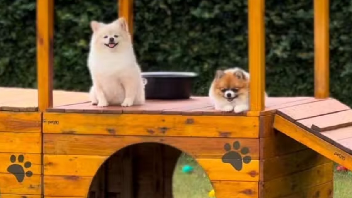 Vai viajar no fim do ano