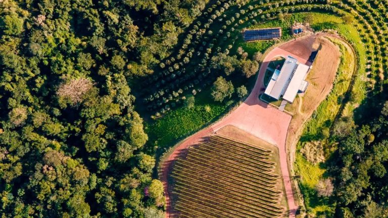 Conheça a premiada vinícola Terras Altas