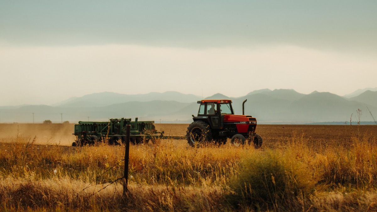 Produção agropecuária paulista