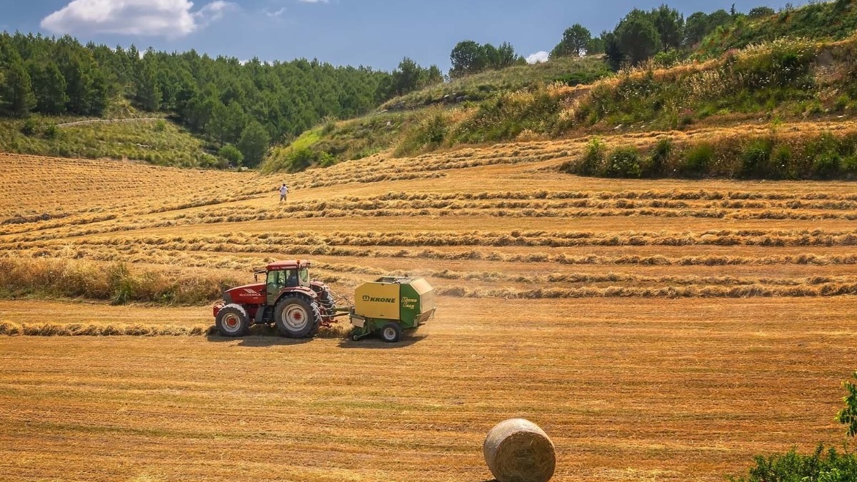 crescimento agronegócio