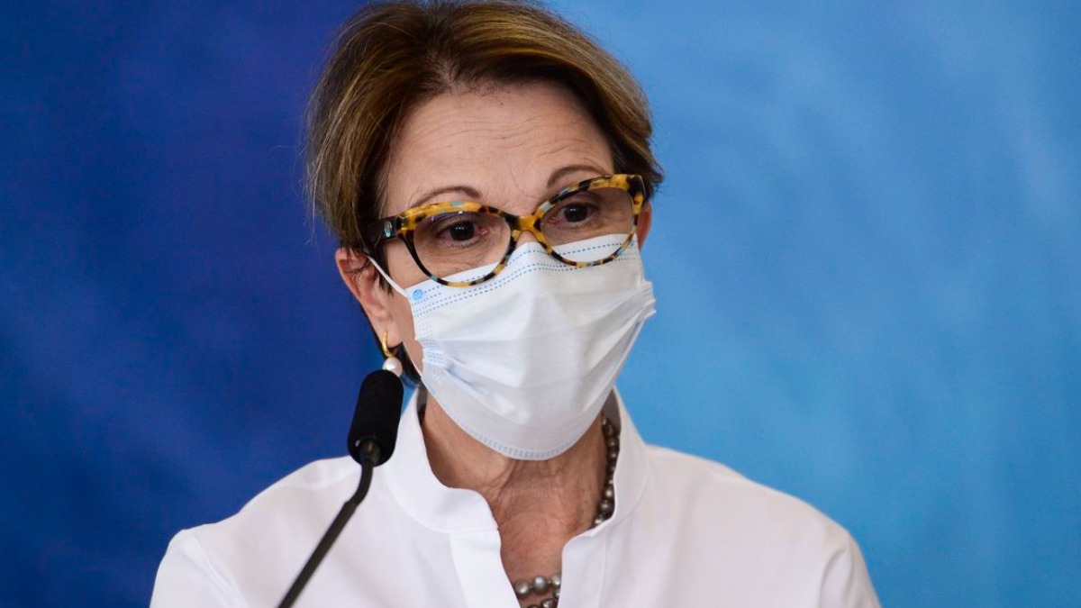 fertilizantes no Brasil