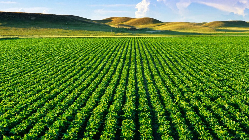 riscos climáticos agro
