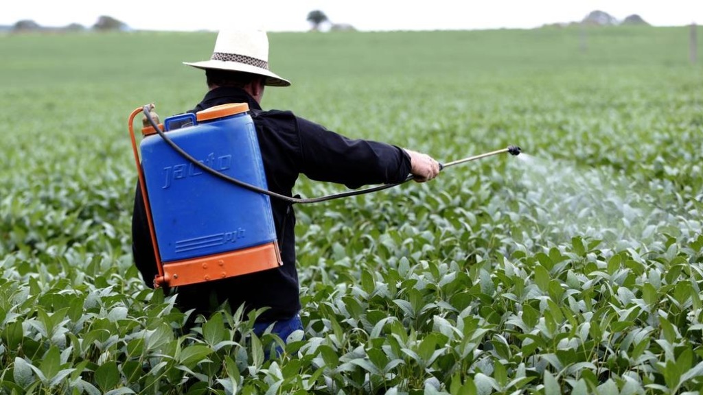 População ocupada agronegócio