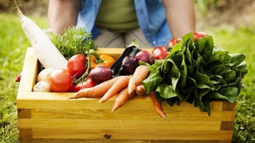preços de ingredientes de sopa