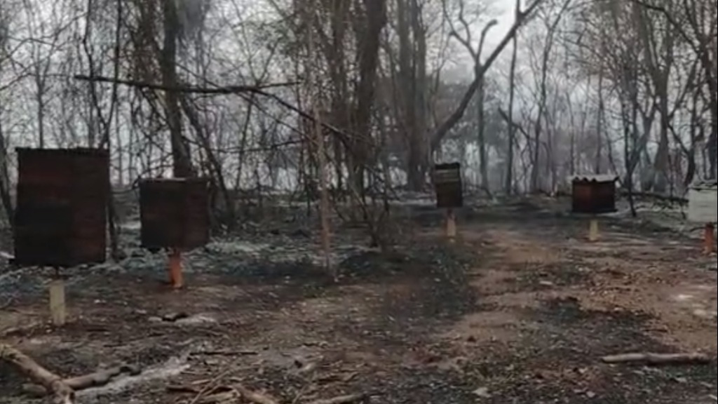 incêndio Jardinópolis Batatais