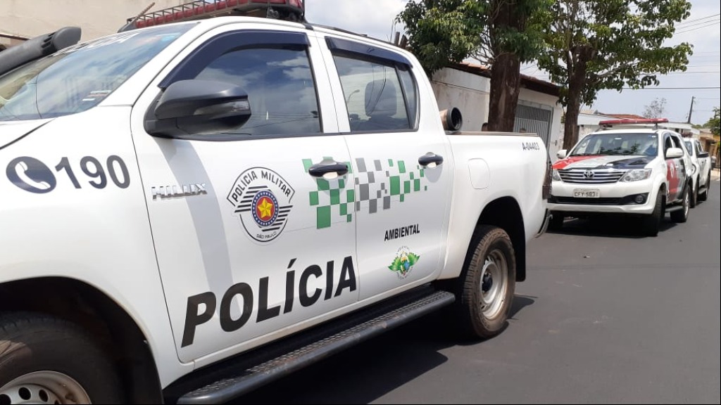 crime ambiental