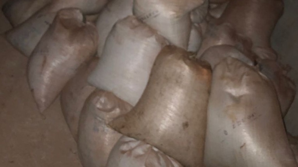 Soja com procedência duvidosa