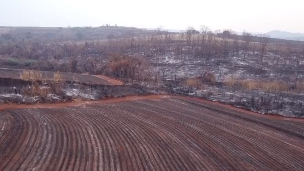 destruição áreas verdes