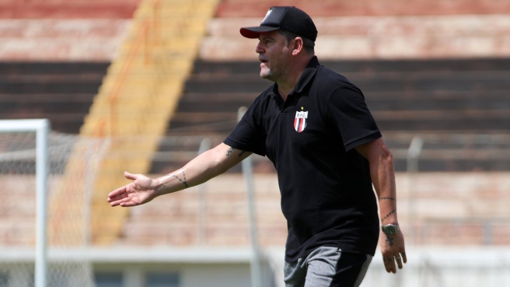 atacantes Botafogo-SP