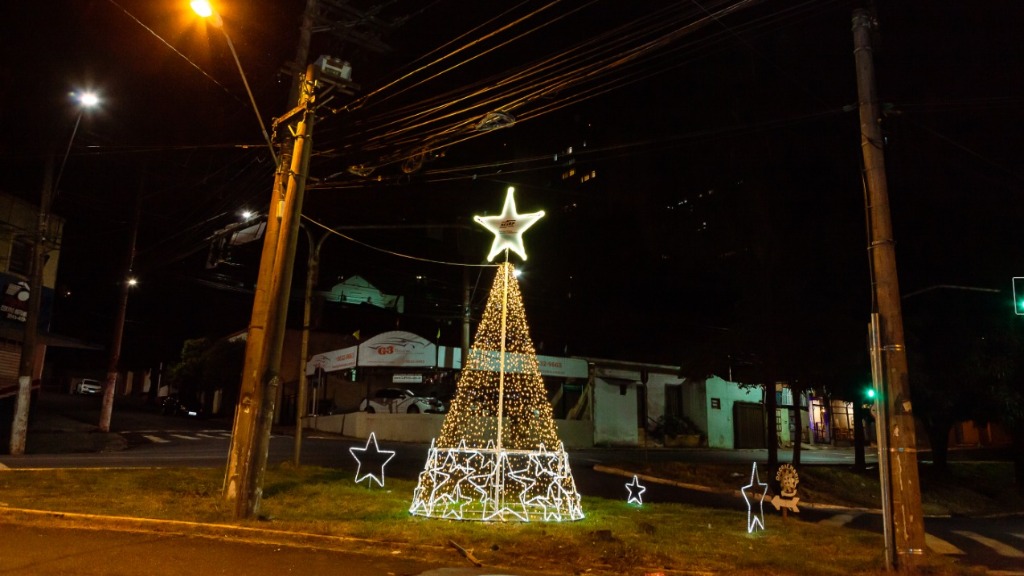 furtos árvore natal