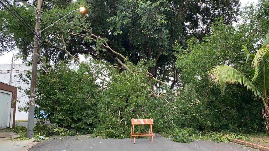 cadeirante bairro Iguatemi
