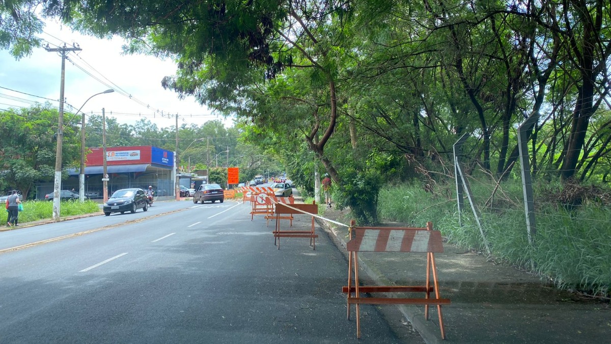 interdições trânsito Ribeirão