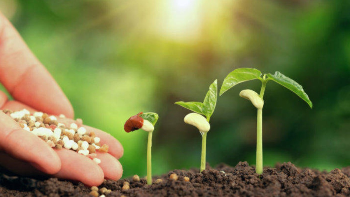 bioinsumos para uso próprio