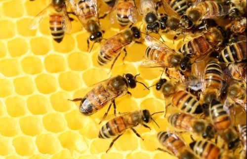 empreendedorismo feminino