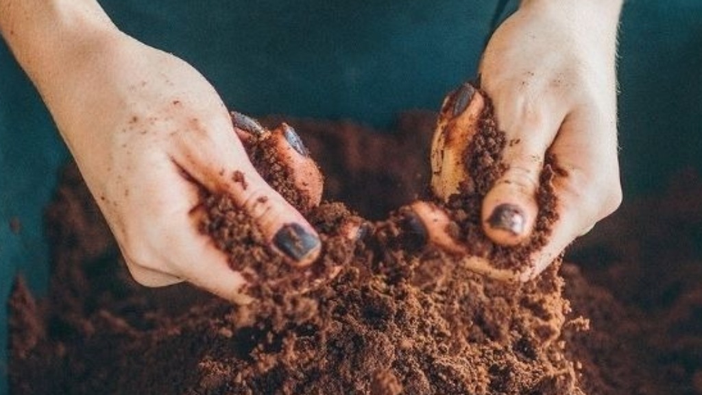 Borra de café sustentável