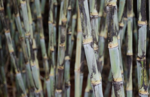 aumento preço combustível