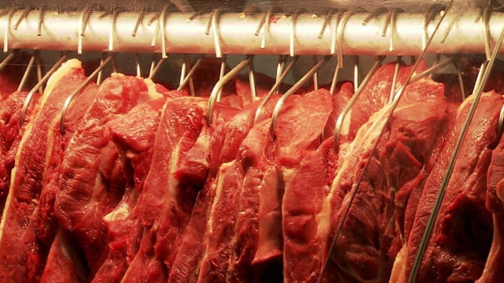 exportação carne bovina