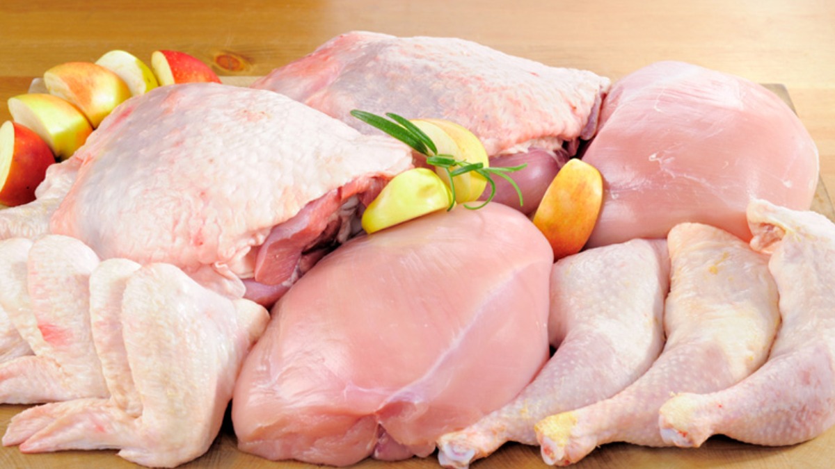 exportações carne frango