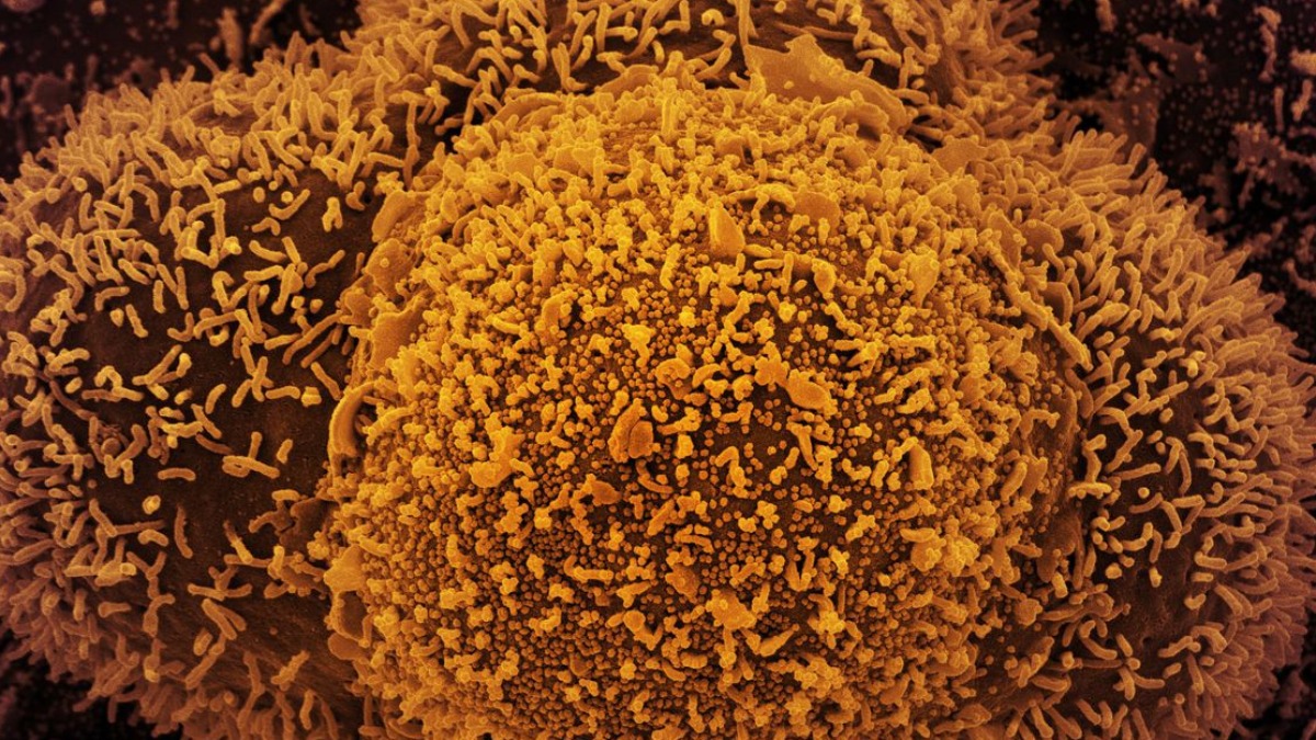 transmissão Ômicron assintomática