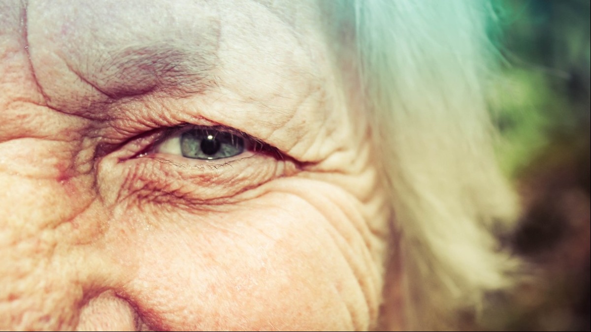 Catarata e alimentação