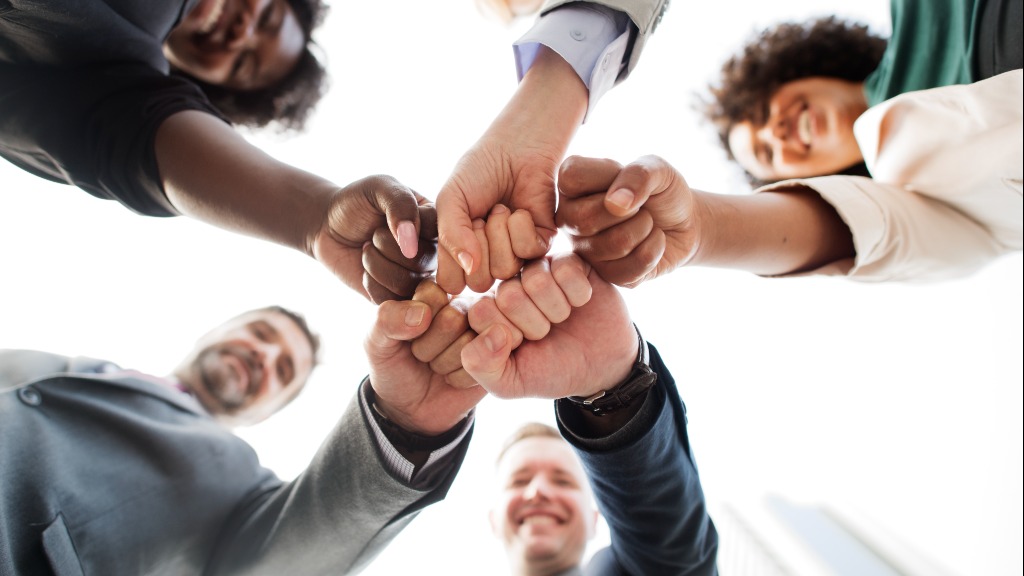 cooperativas de negócio