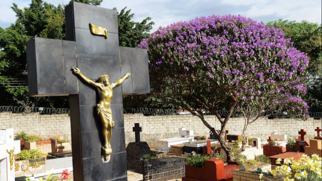 mortes por Covid Ribeirão Preto