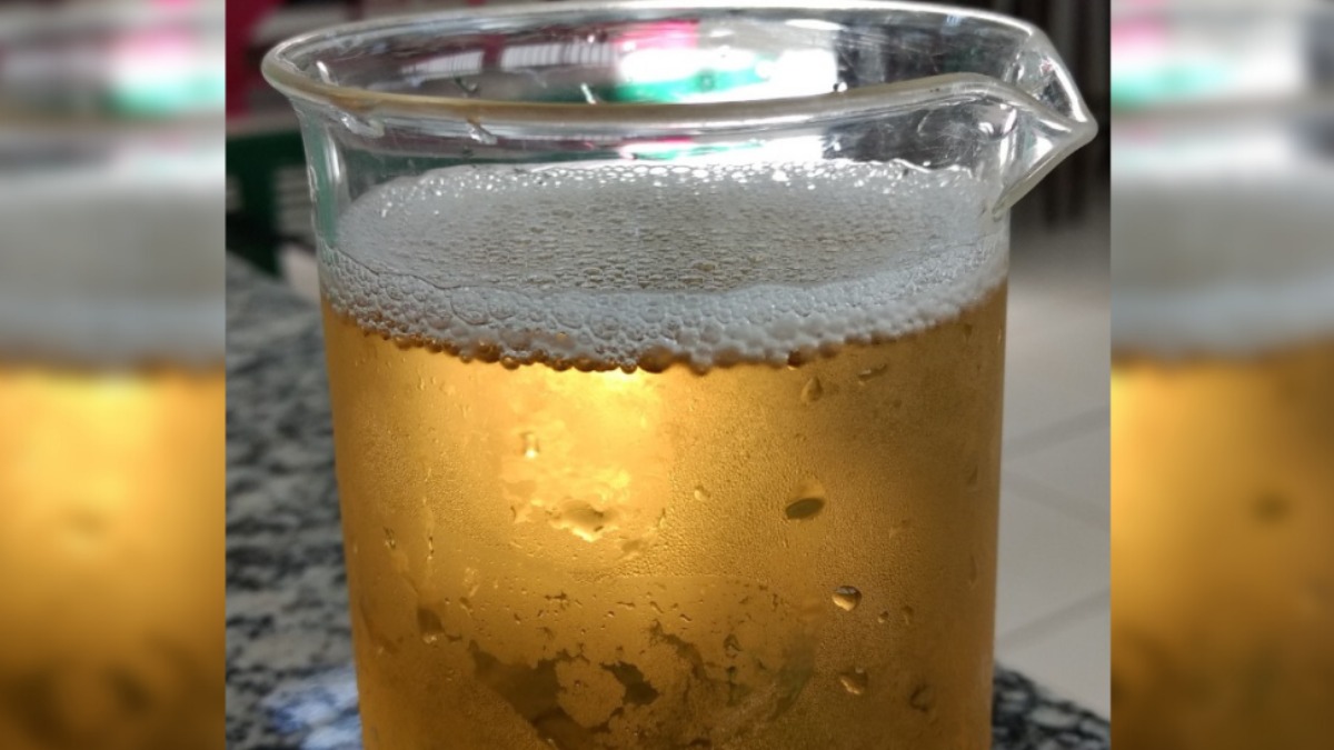 Cerveja puro malte baixo teor alcóolico