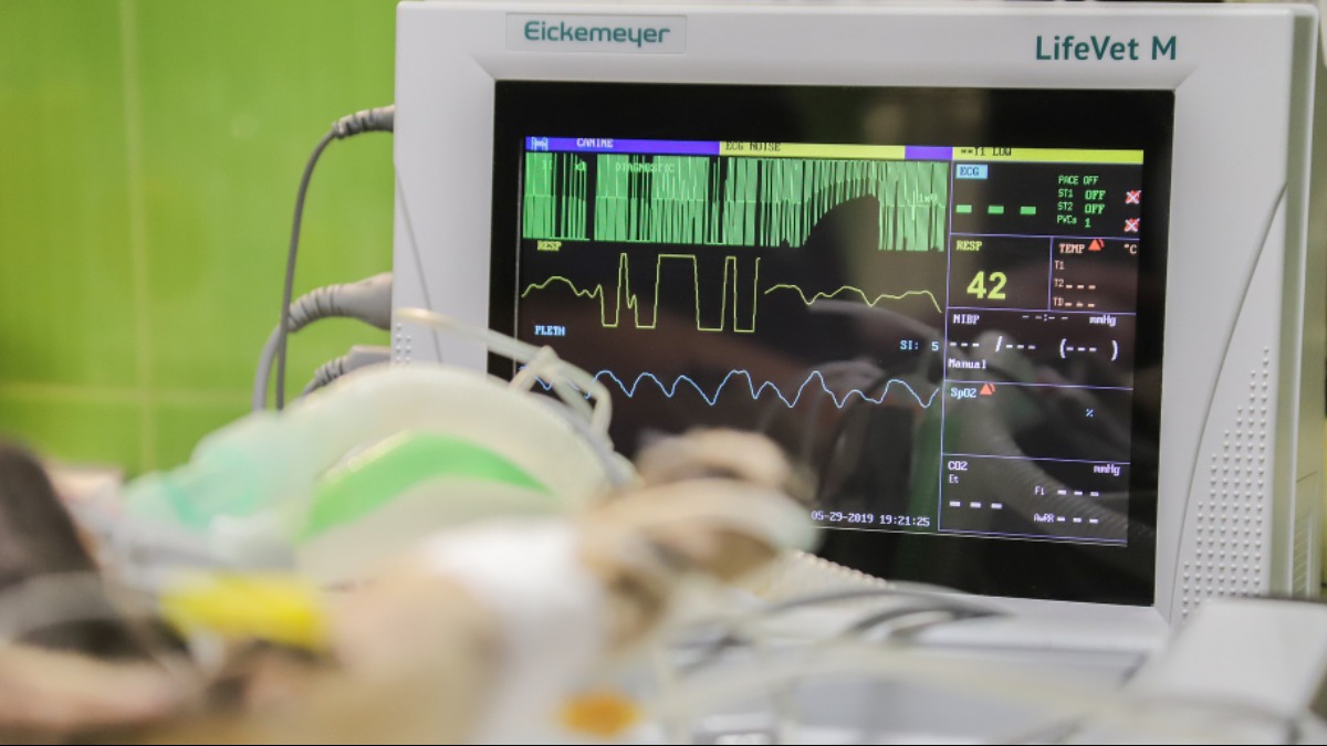 internações covid crianças SP