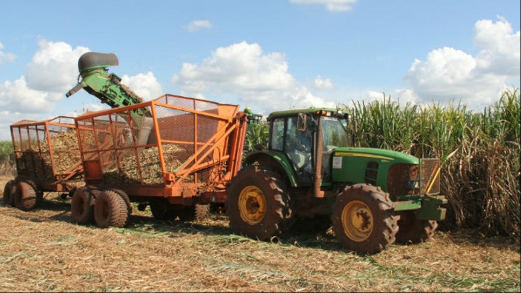 produção agrícola