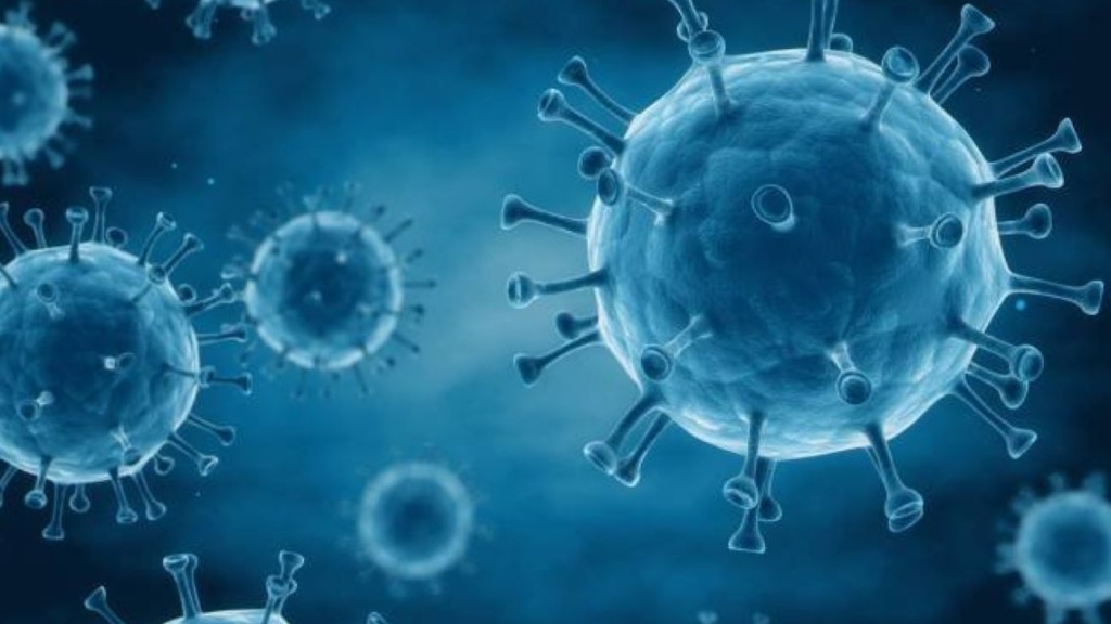 nova cepa coronavírus