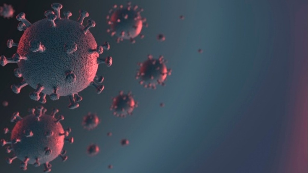 variantes covid vacinas