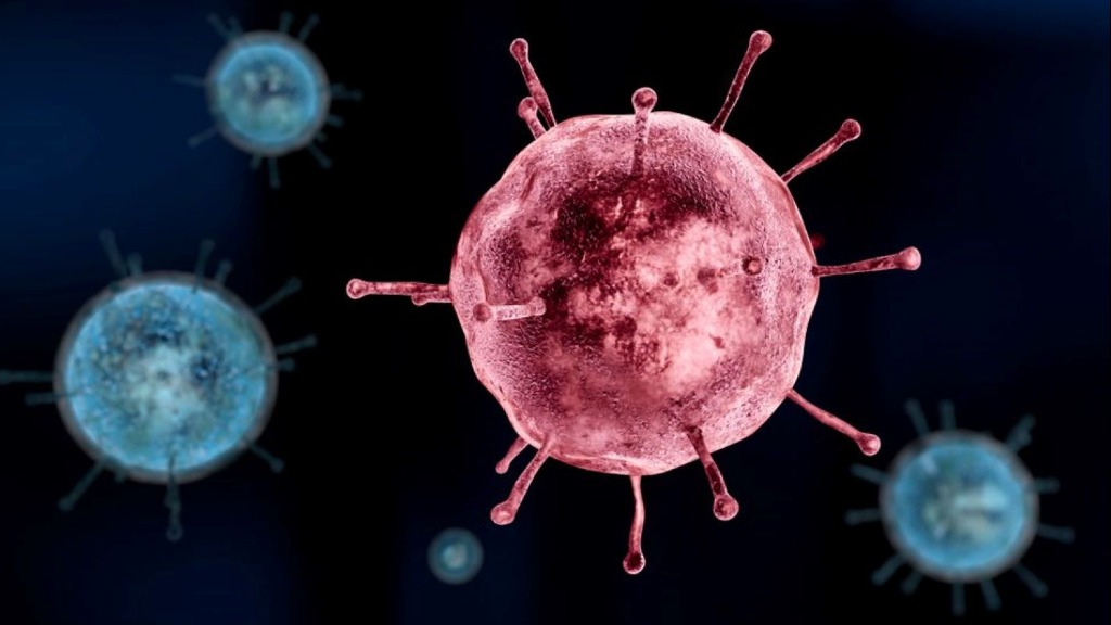 segunda onda Covid-19