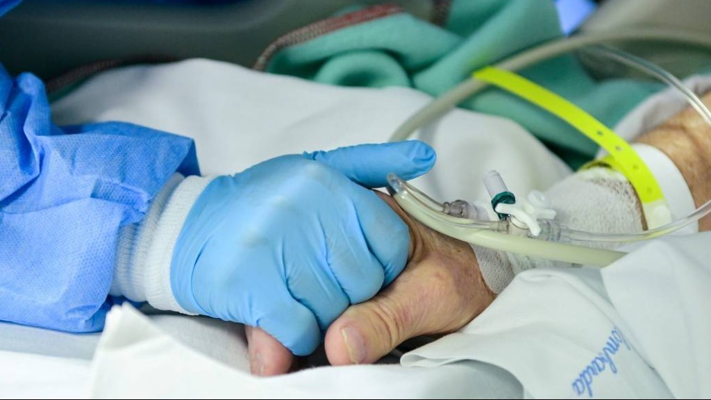 Mortes por Covid-19 em 2021