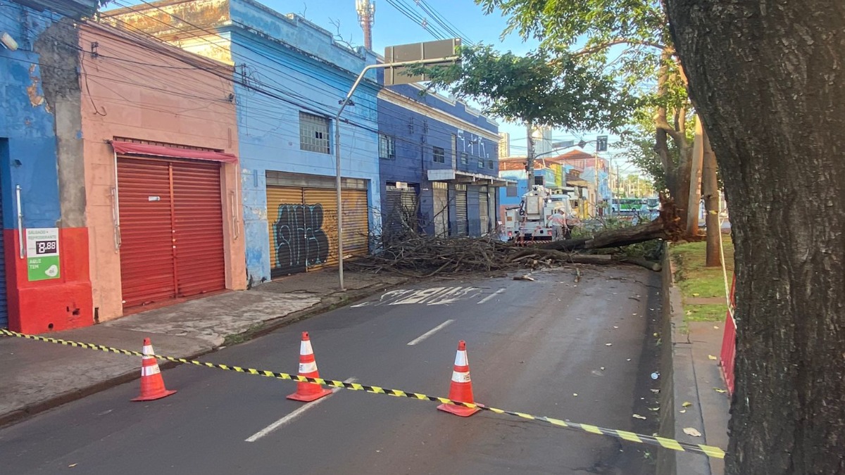 chuva Ribeirão Preto