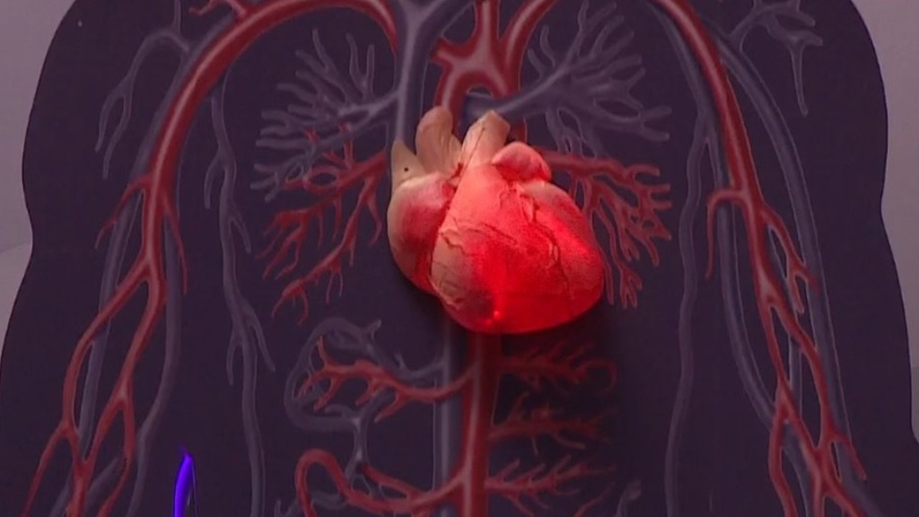 vacinação covid problemas cardiovasculares