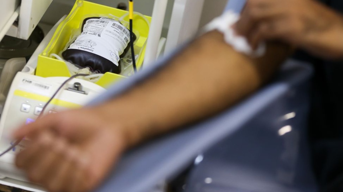 doação de sangue Ribeirão Preto
