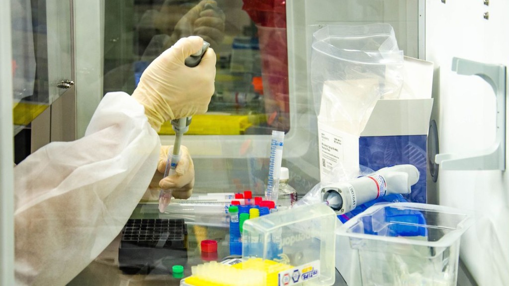 Incubação vírus Manaus