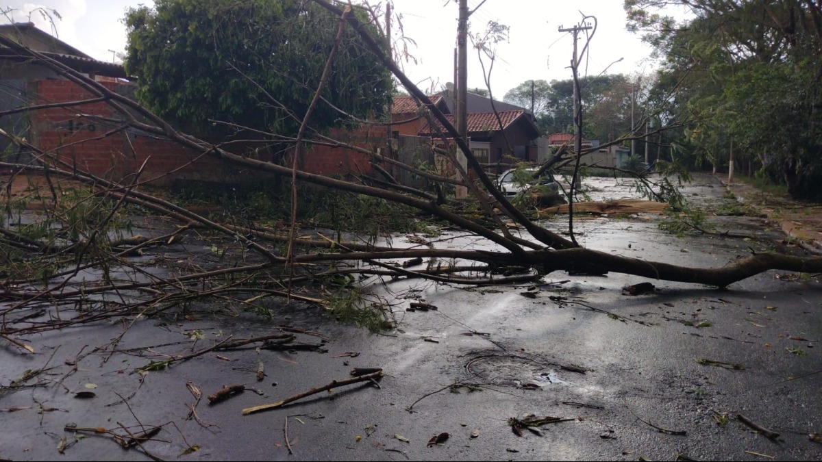 Falta de energia Guariba