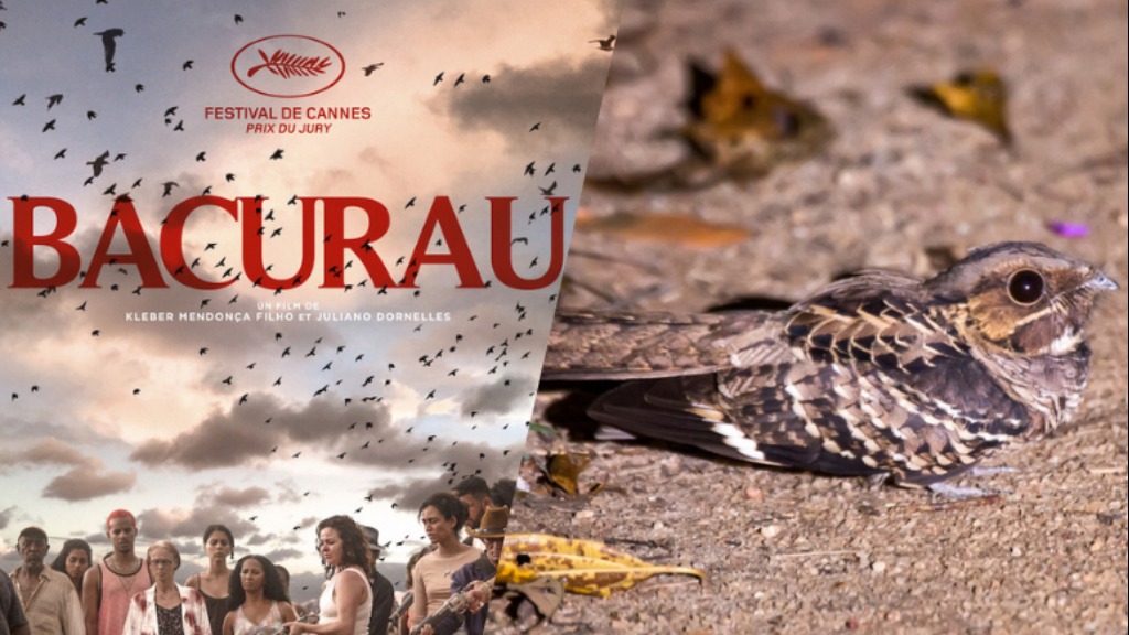 Bacurau filme brasileiro