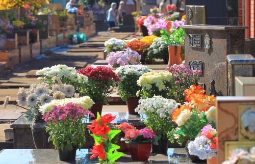 mortes pandemia Ribeirão