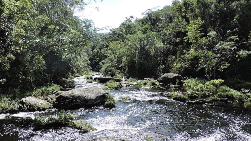 primavera novos sons