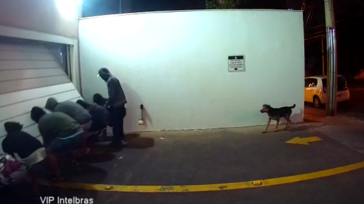 segurança em condomínios